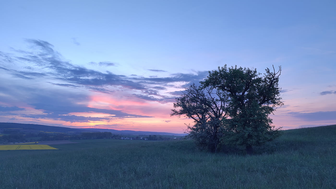 Weite Wiese mit Blick in ein hügeliges Tal. Im Vordergrund die schwarze Silhouette vor rosa Abendhimmel